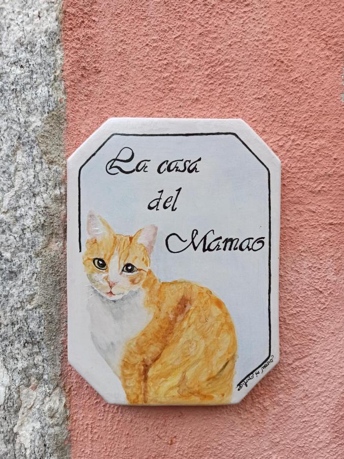 La Casa Del Mamao Holiday home